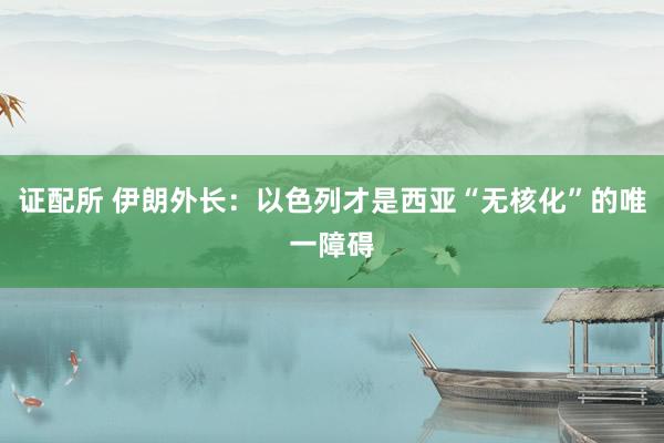 证配所 伊朗外长：以色列才是西亚“无核化”的唯一障碍