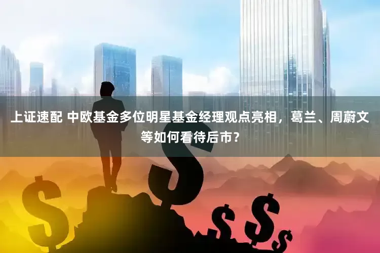 上证速配 中欧基金多位明星基金经理观点亮相，葛兰、周蔚文等如何看待后市？