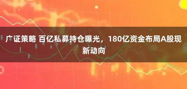 广证策略 百亿私募持仓曝光，180亿资金布局A股现新动向