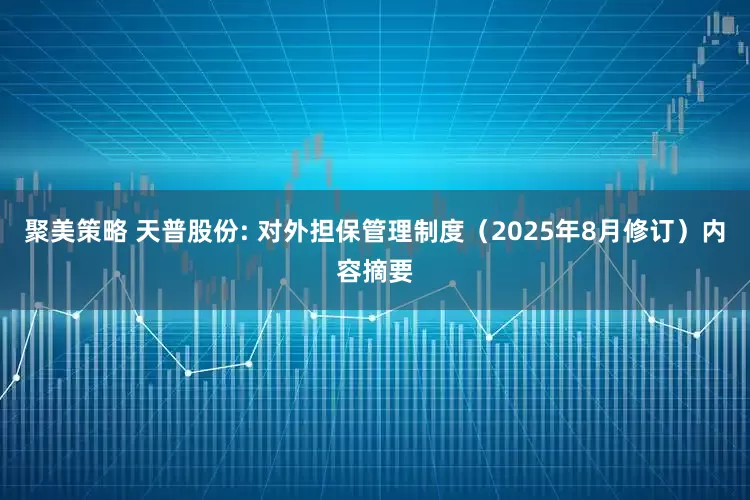 聚美策略 天普股份: 对外担保管理制度（2025年8月修订）内容摘要