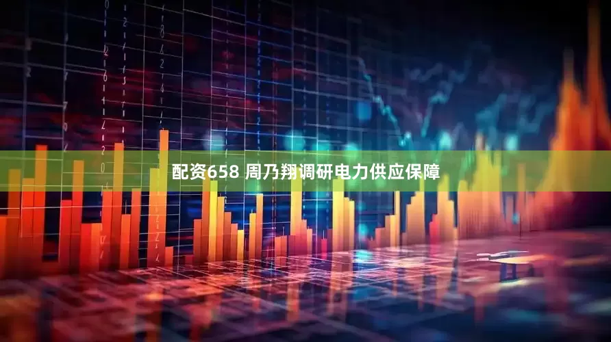 配资658 周乃翔调研电力供应保障