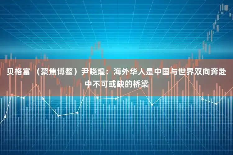 贝格富 （聚焦博鳌）尹晓煌：海外华人是中国与世界双向奔赴中不可或缺的桥梁