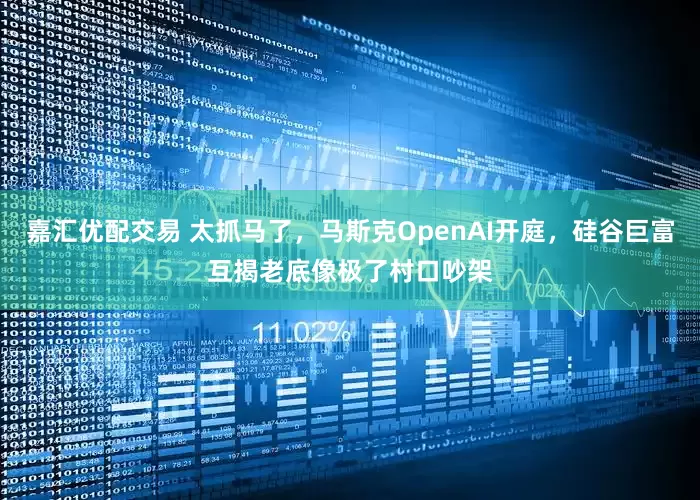 嘉汇优配交易 太抓马了，马斯克OpenAI开庭，硅谷巨富互揭老底像极了村口吵架
